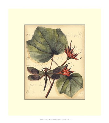 Framed Petite Dragonflies I Print