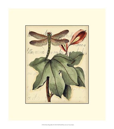 Framed Petite Dragonflies II Print