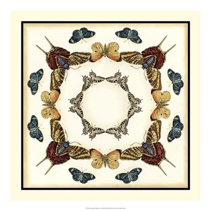 Framed Butterfly Collector I Print