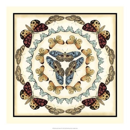Framed Butterfly Collector IV Print