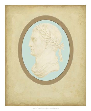 Framed Spa Cameo IV Print