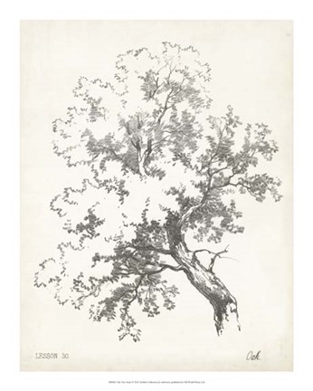 Framed Oak Tree Study Print