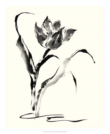 Framed Studies in Ink - Tulip Print
