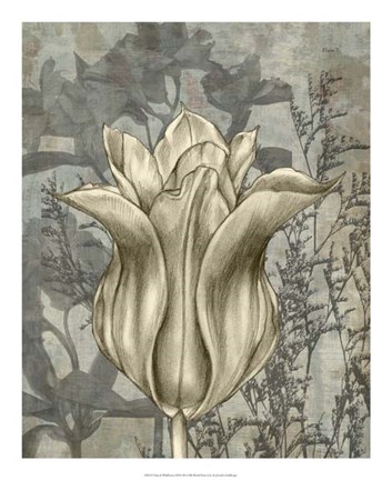 Framed Tulip &amp; Wildflowers III Print