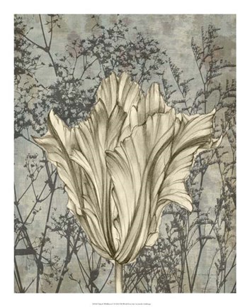 Framed Tulip &amp; Wildflowers V Print