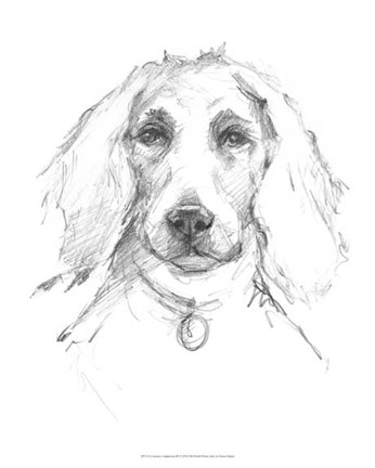 Framed Constant Companion III Print