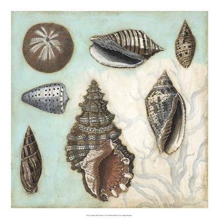 Framed Antique Shell Collage I Print