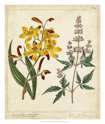 Framed Garden Display I Print