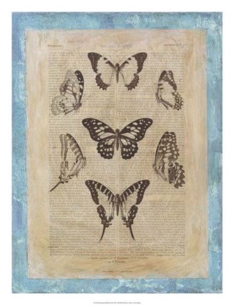 Framed Bookplate Butterflies III Print
