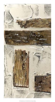 Framed Birch Bark Abstract I Print