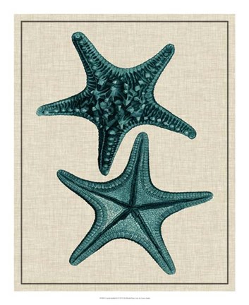 Framed Coastal Starfish II Print