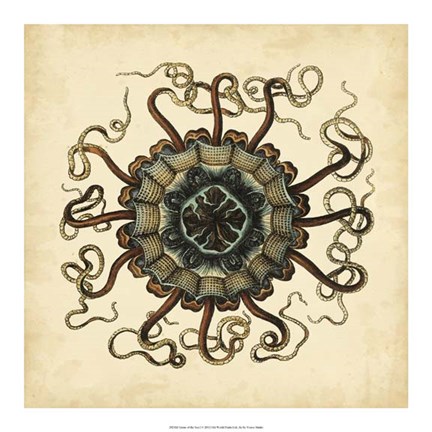 Framed Gems of the Sea I Print