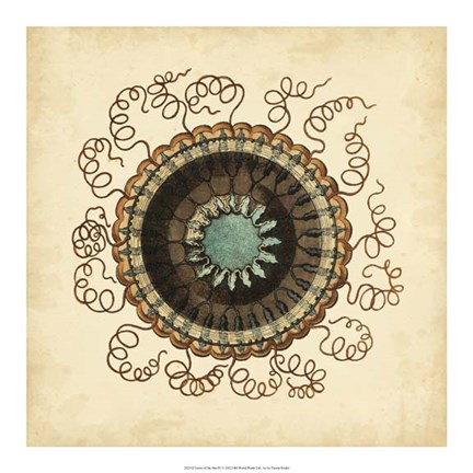 Framed Gems of the Sea IV Print