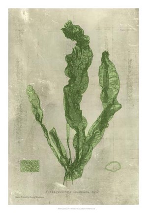 Framed Emerald Seaweed IV Print