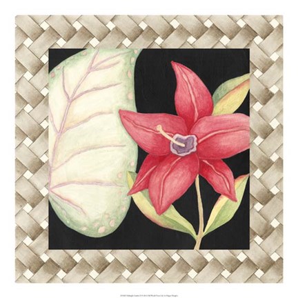 Framed Midnight Garden II Print