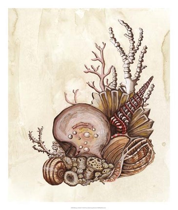 Framed Baroque Nautilus I Print