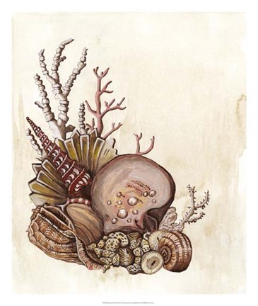 Framed Baroque Nautilus III Print