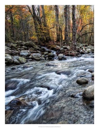 Framed Porter&#39;s Creek I Print