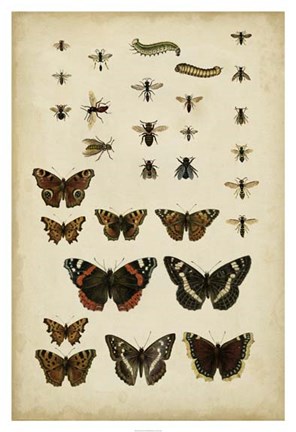 Framed Garden Friends Print