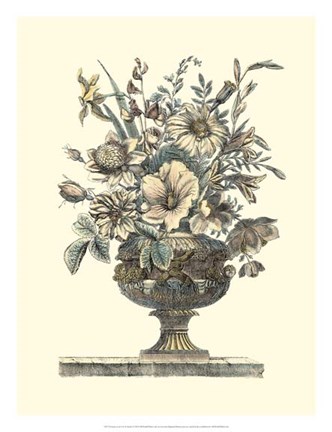 Framed Flowers in an Urn II (Sepia) Print