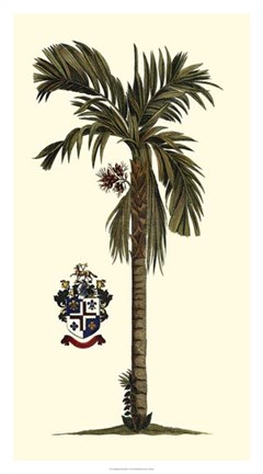 Framed Elongated Exotic Palm II Print