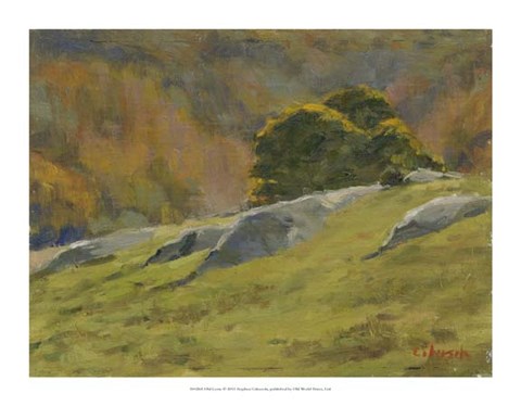 Framed Old Lyme Print