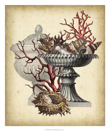 Framed Ocean&#39;s Bounty I Print