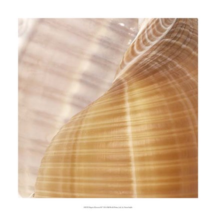 Framed Organic Elements III Print