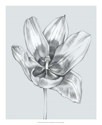 Framed Silvery Blue Tulips II Print