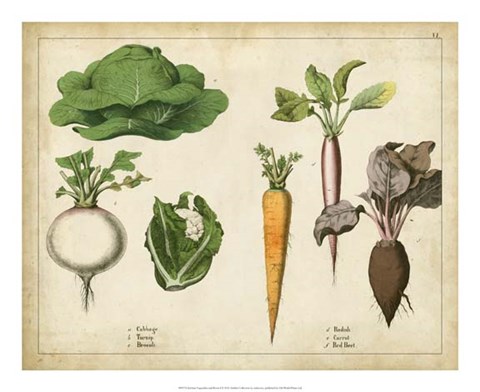 Framed Kitchen Vegetables &amp; Roots I Print