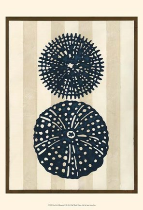 Framed Sea Life Silhouette II Print