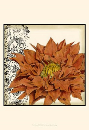 Framed Botanica III Print