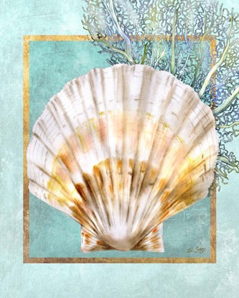 Framed Scallop Shell and Coral Print