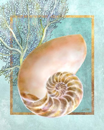 Framed Nautilus Shell and Coral Print