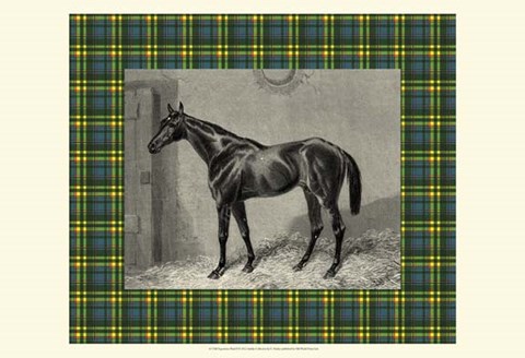 Framed Equestrian Plaid II Print