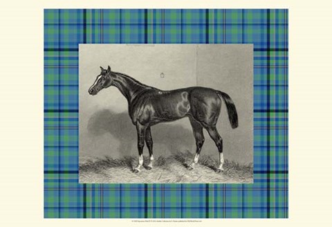 Framed Equestrian Plaid IV Print
