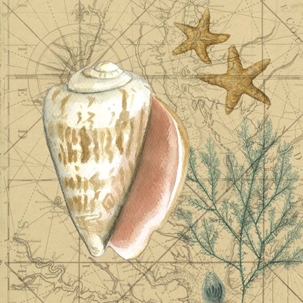 Framed Coastal Map Collage II Print