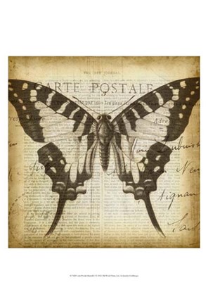 Framed Carte Postale Butterfly I Print