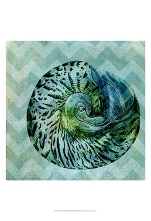 Framed Chevron Shell II Print