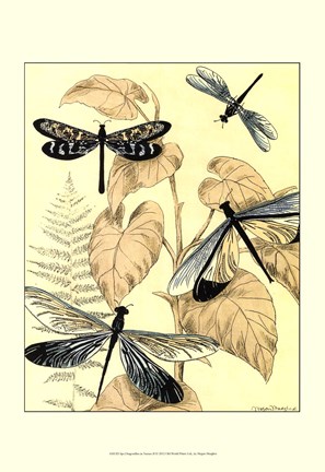 Framed Spa Dragonflies in Nature II Print