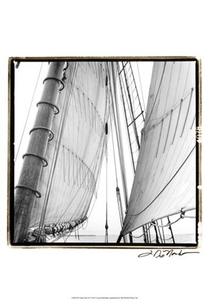 Framed Undersail II Print