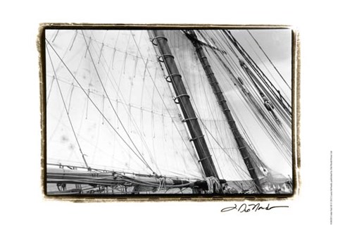 Framed Undersail III Print