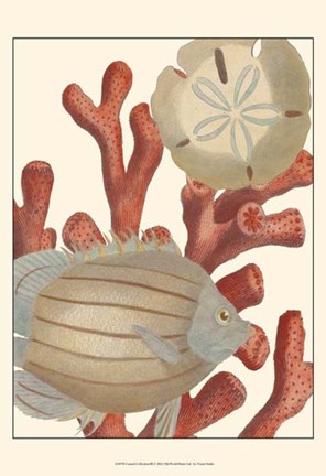 Framed Coastal Collection III Print