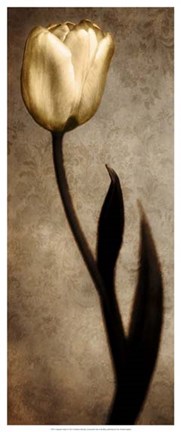 Framed Damask Tulip I Print