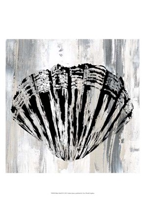 Framed Black Shell II Print