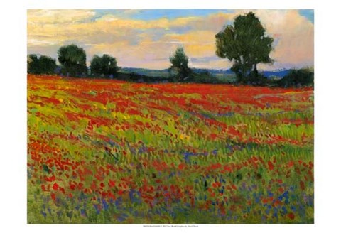 Framed Red Field II Print