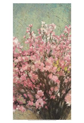 Framed Blossom Impressions I Print
