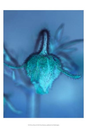 Framed Love Flowers II Print