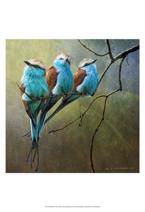 Framed Rollers Print