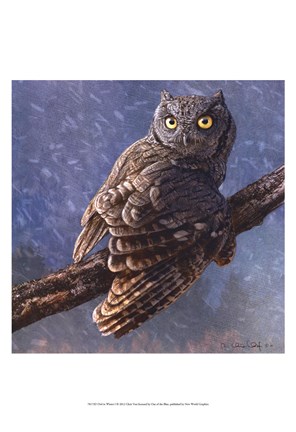 Framed Owl in Winter I Print